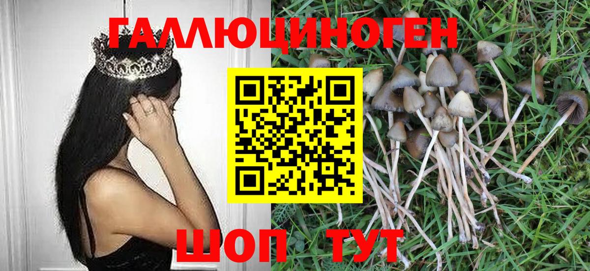 Псилоцибиновые грибы Magic Shrooms Камышлов